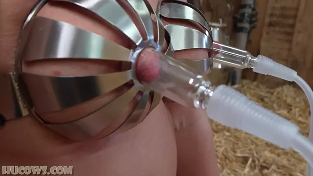 Poster: Darina chastity milking - bdsm
