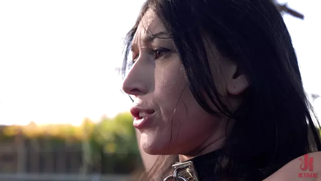 Poster: Alexa Chains Christian Wilde Kink - bdsm