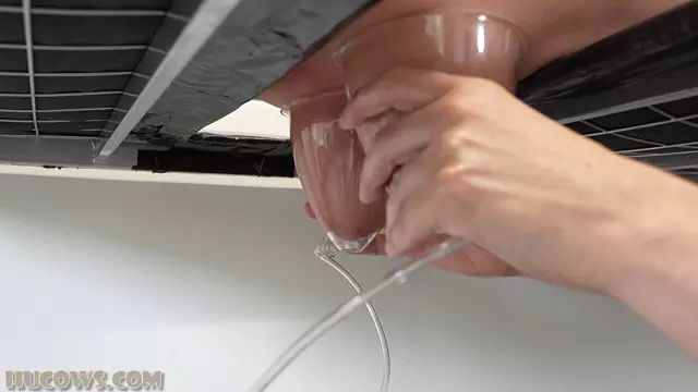 Poster: udder stretching HuCows - bdsm