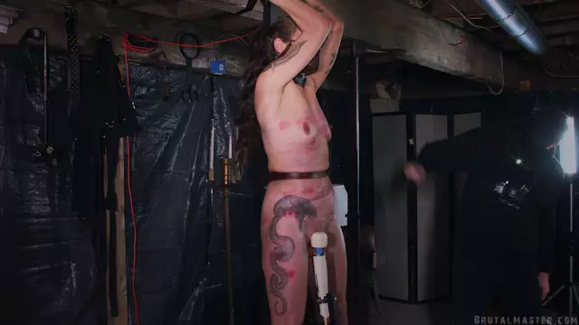 Poster: Dog WE Made Dog Howl pt 2 - bdsm