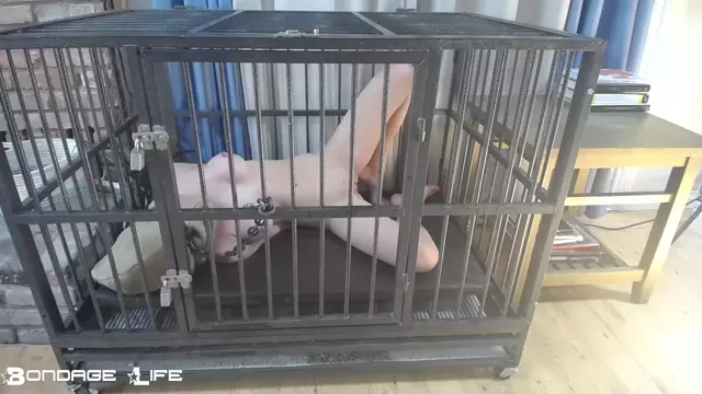 Poster: Cage Time With Greyhound Rachel Greyhound - bdsm