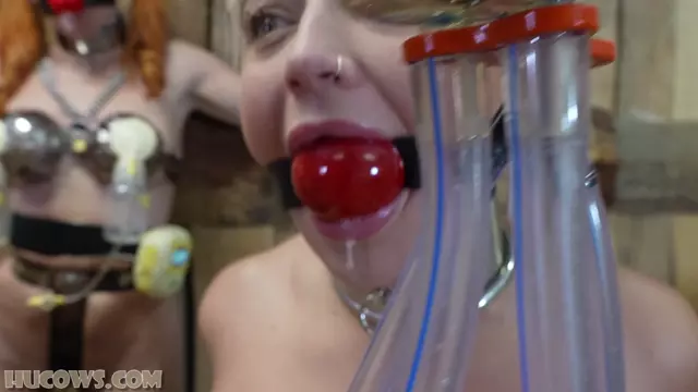 Poster: HuCows – Emily & Zoey & Melodie – a barn full - bdsm